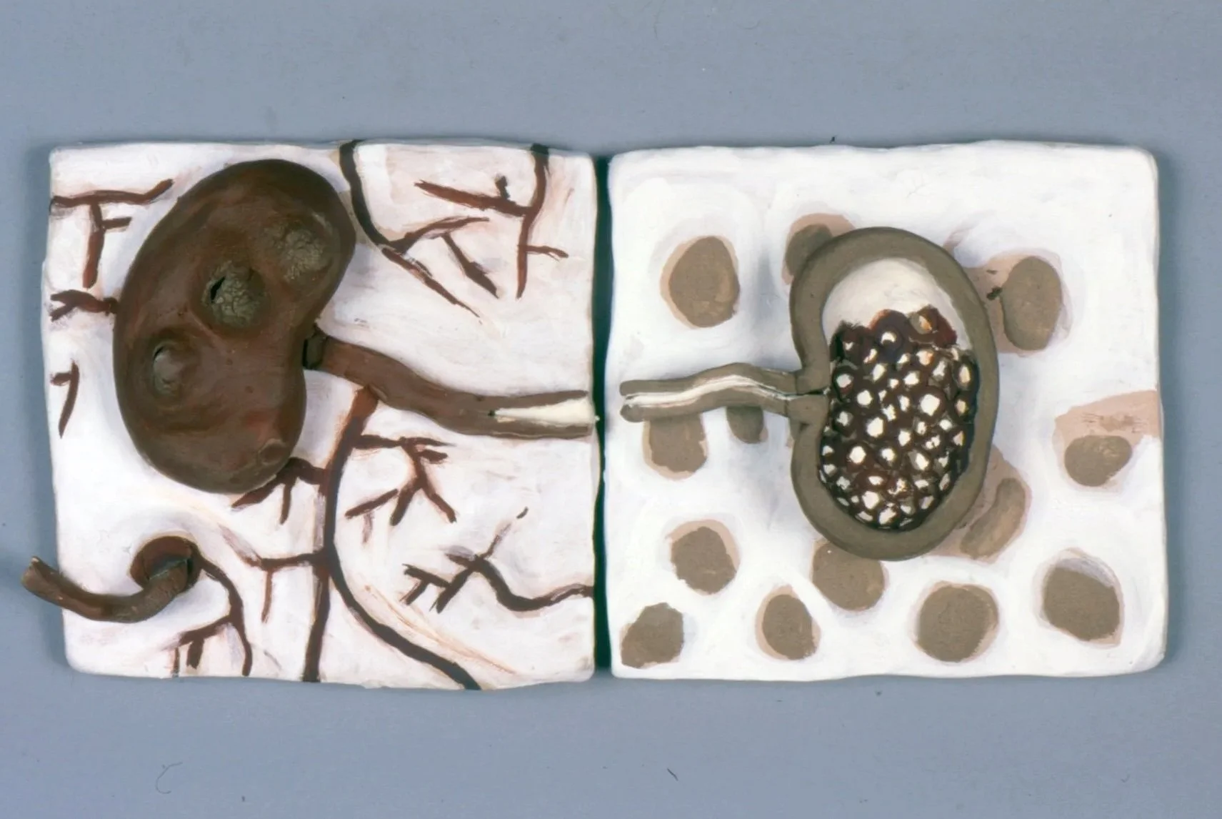  Nicolas Dumit Estevez,  Undeclared Soil , 1997, clay, clay slips and oxides 