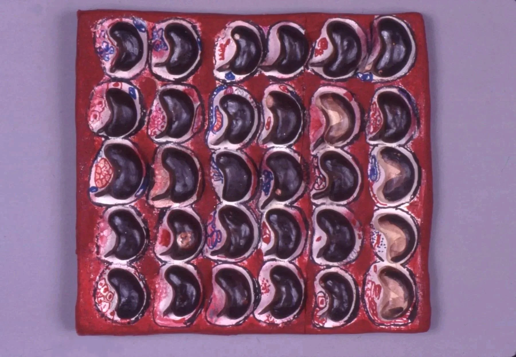  Nicolas Dumit Estevez,  Undeclared Soil , 1997, clay, oxides and acrylic paints 