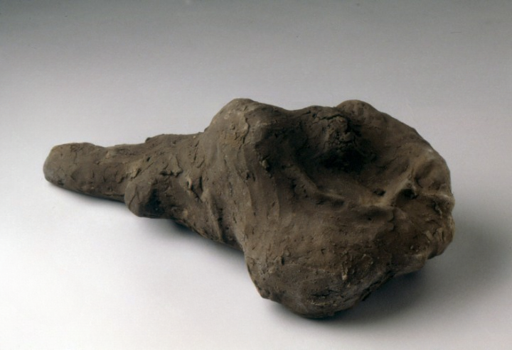  Nicolás Dumit Estévez,  Untitled , Earth, 1997 