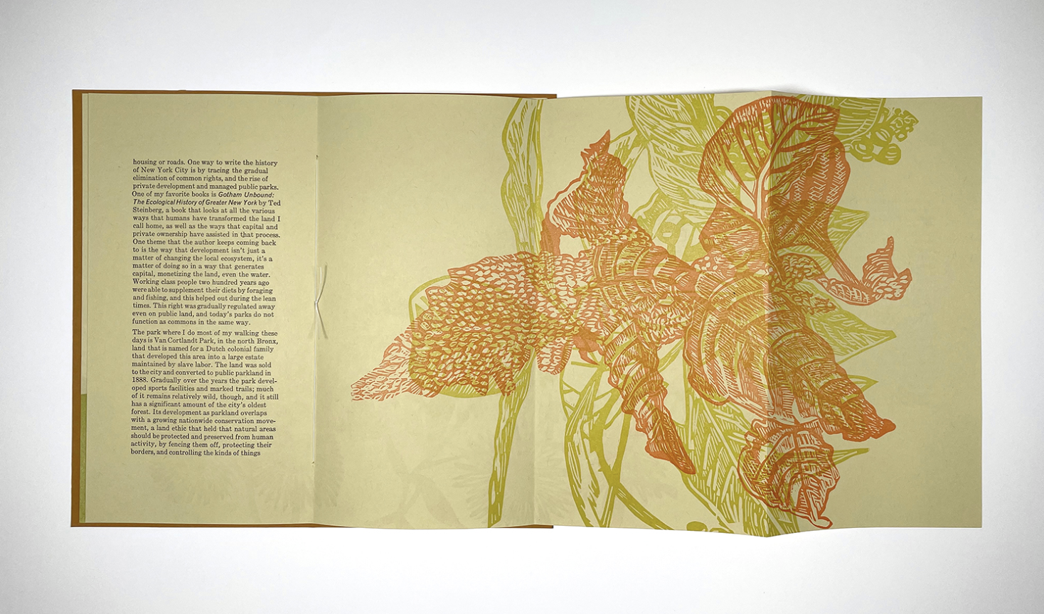  Sarah Nicholls,  Feral,  2023 / Letterpress and linocut on paper. Edition of 250. 9" x 5" closed; 9" x 19" open 