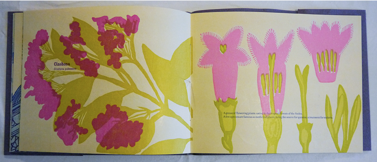  Sarah Nicholls,  Glasshouse , 2017 / Woodcut and letterpress on paper / Edition of 35. 9” x 10.5” closed. 9” x 21” open 