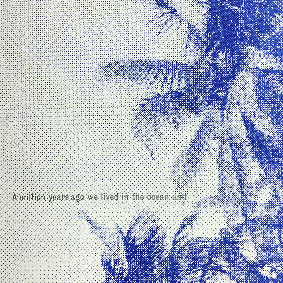   Sarah Nicholls,  Solastalgia,  2019 / Letterpress, linocut, riso, hot foil stamping, 8” x 5.75” &nbsp;closed, 8” x 11.5” open 