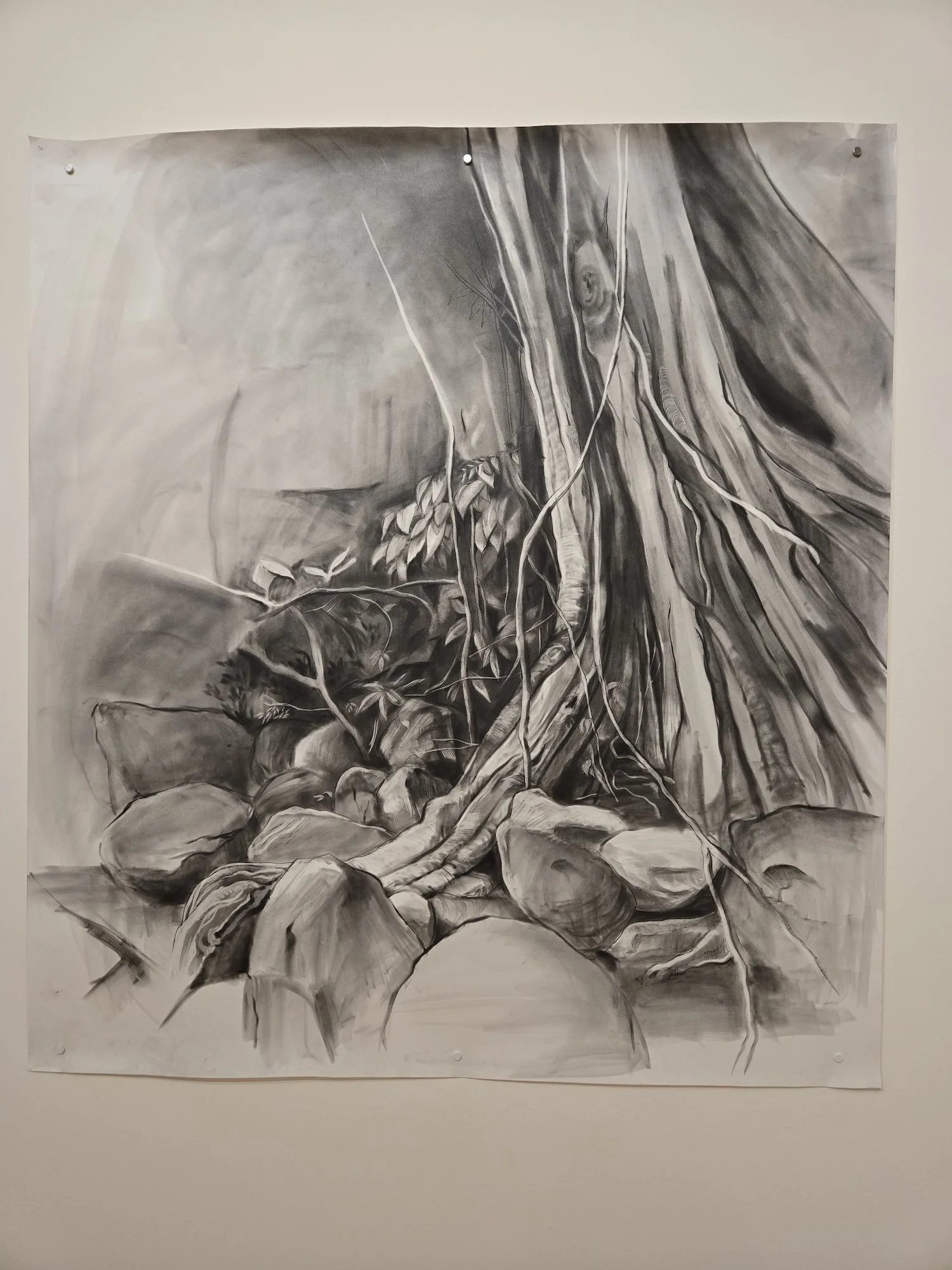  Wanda Raimundi-Ortiz 