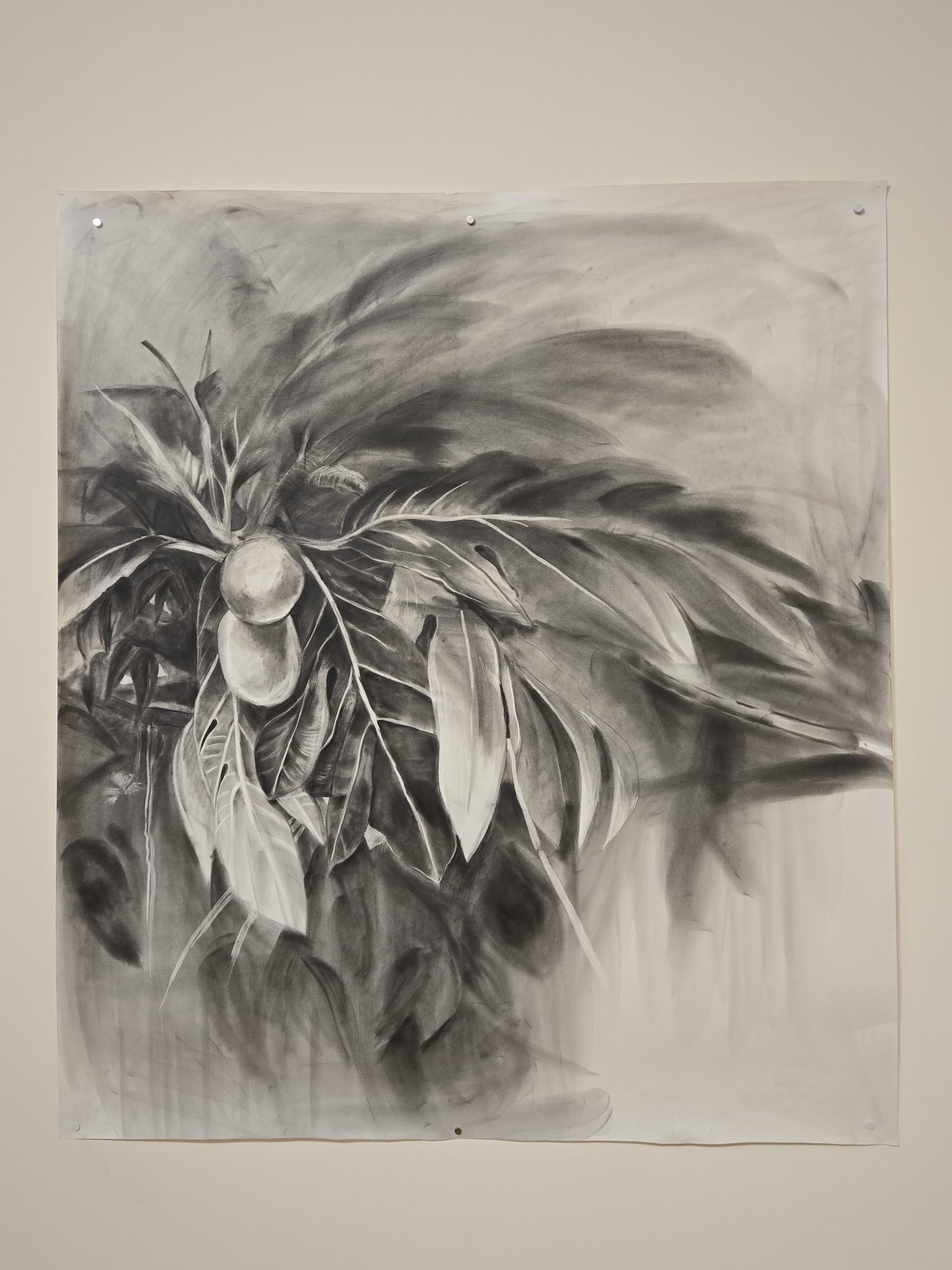  Wanda Raimundi-Ortiz 