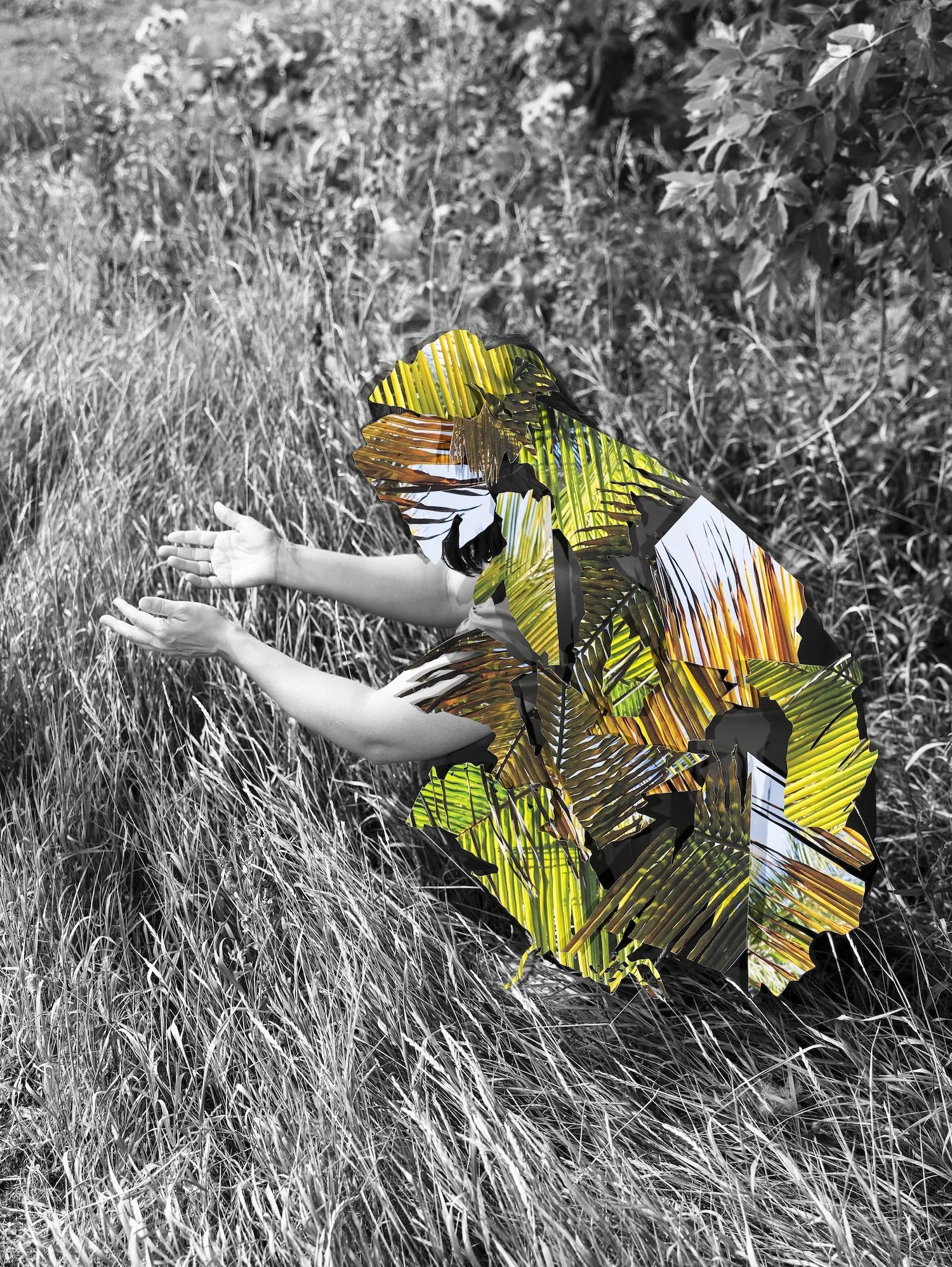   Climat propice,  2022 / Archival pigment print mounted to Dibond, 64" x 48"&nbsp;&nbsp;&nbsp;&nbsp;&nbsp;&nbsp;&nbsp;&nbsp;&nbsp;&nbsp;&nbsp;&nbsp;&nbsp;&nbsp;&nbsp;&nbsp;&nbsp;&nbsp;&nbsp;&nbsp;&nbsp; 