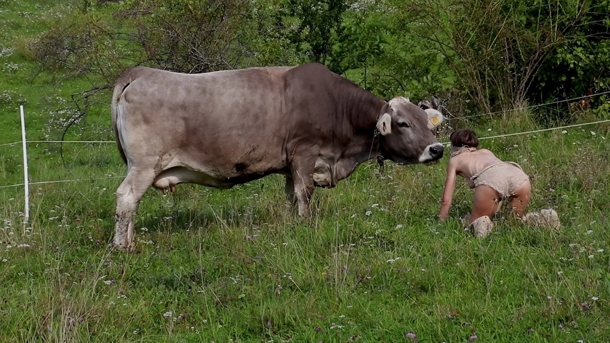  Jatun Risba, Be-coming Cow, 2020 / Photo: Adam Engler 