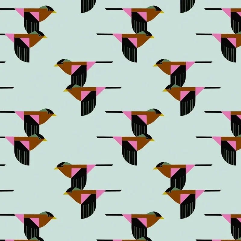 Image 136.JPG
