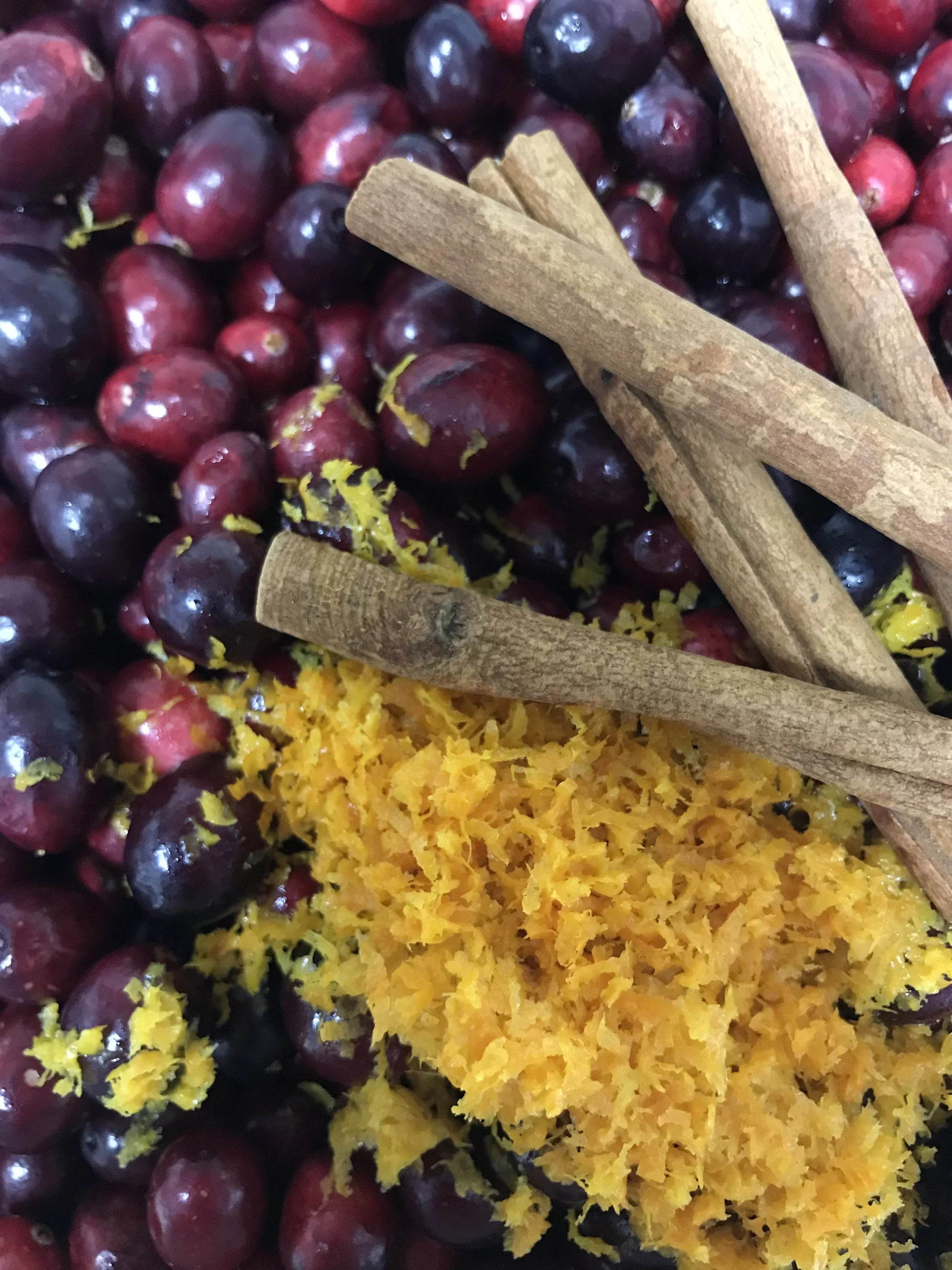 Beginnings of Cranberry Sauce