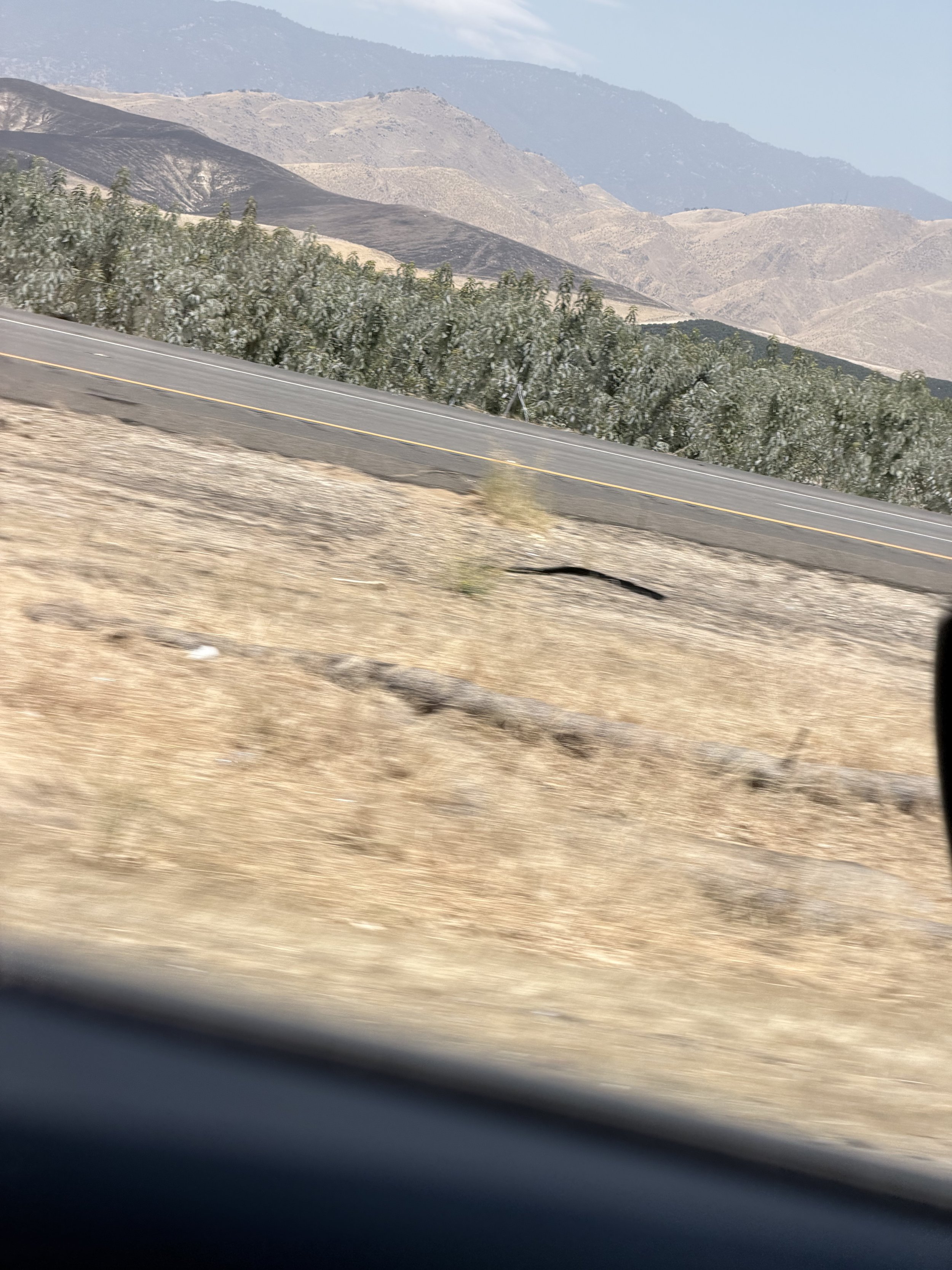IMG_0708.jpeg