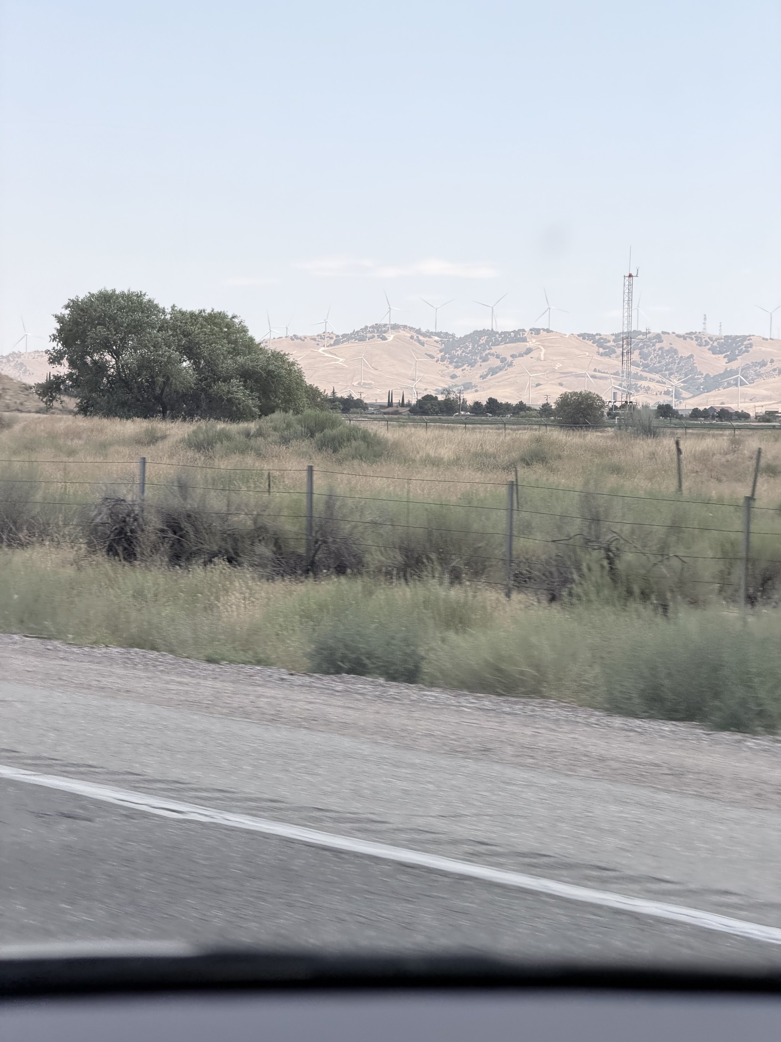 IMG_0712.jpeg