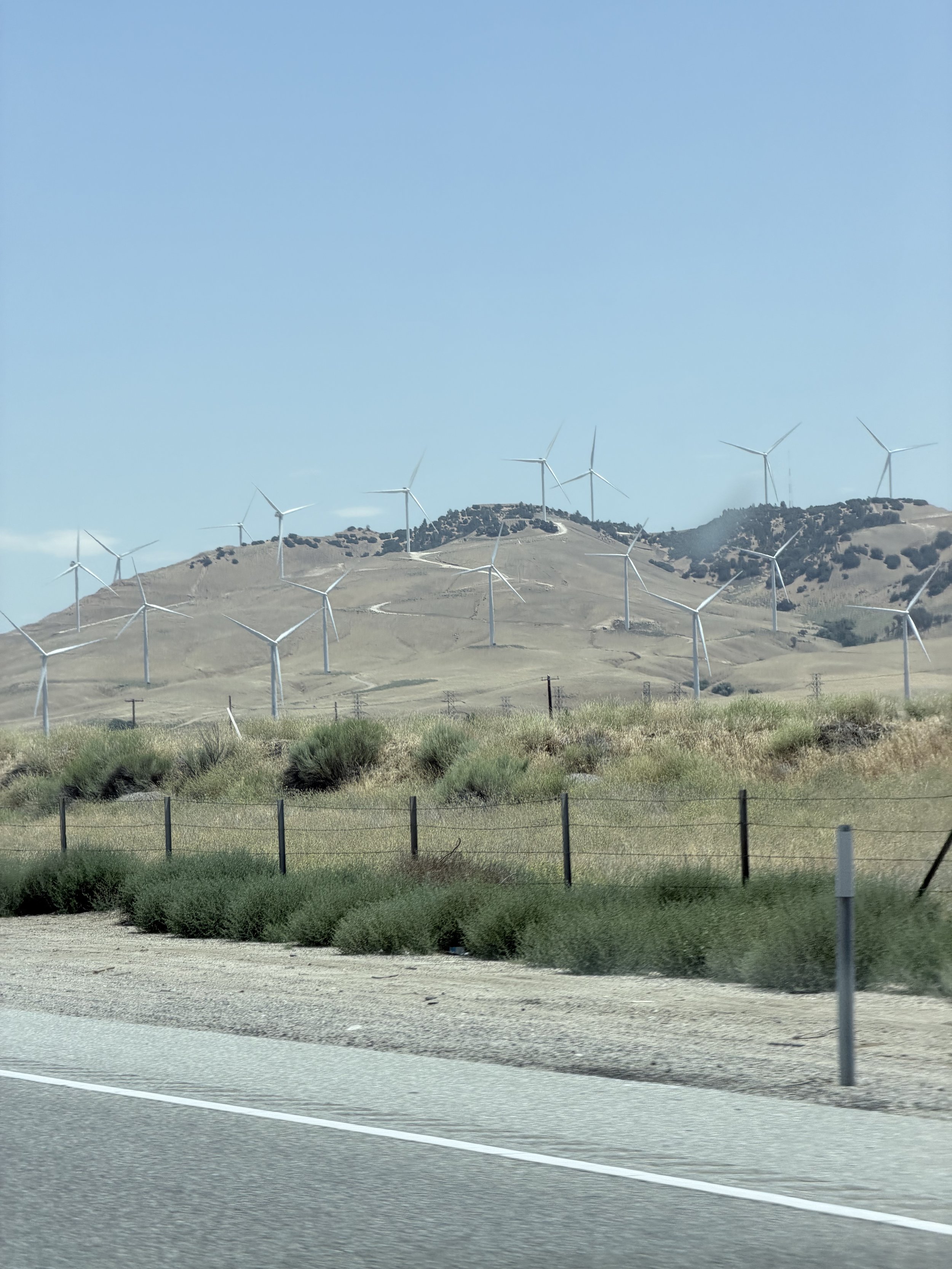 IMG_0721.jpeg