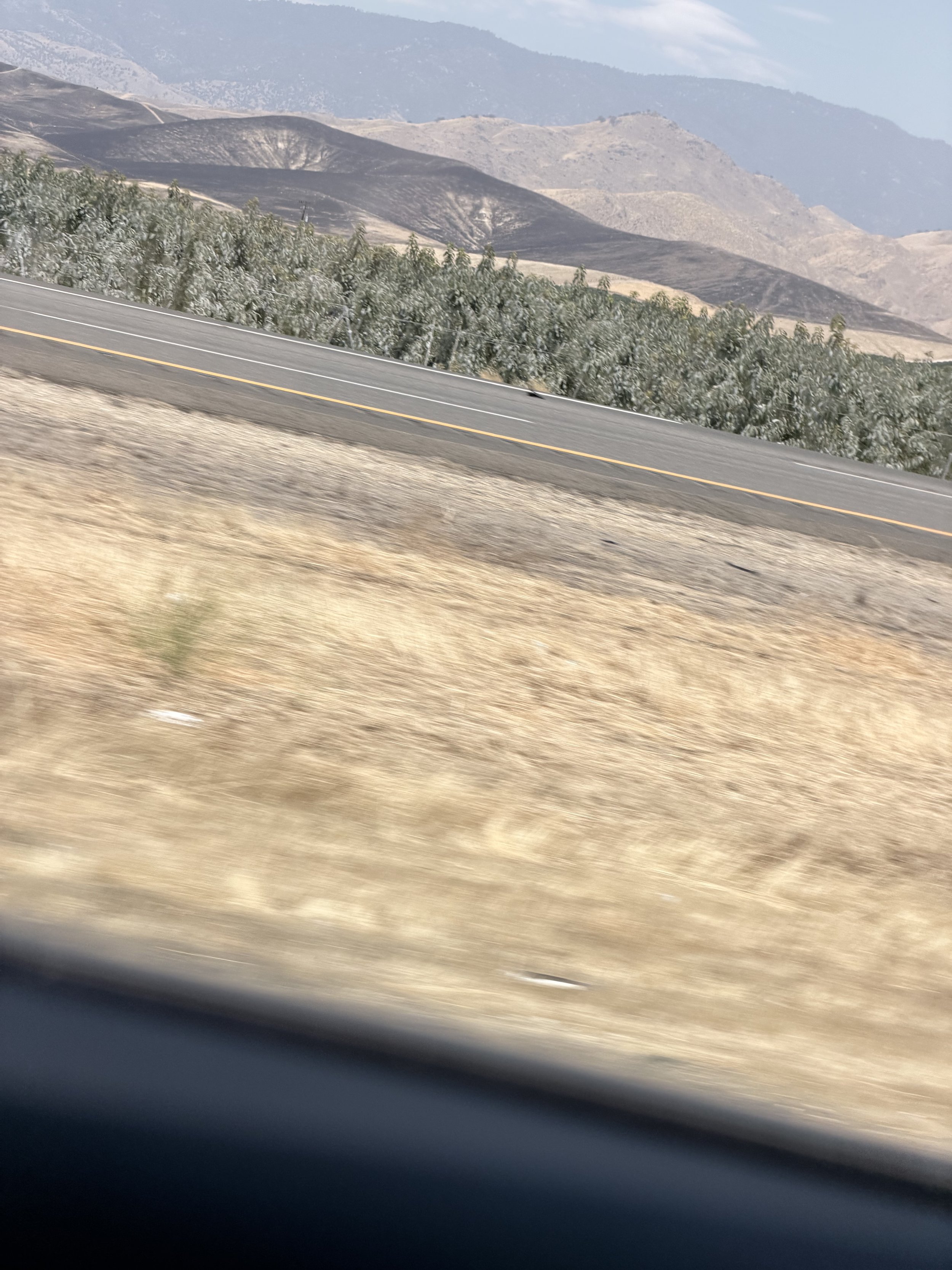 IMG_0707.jpeg