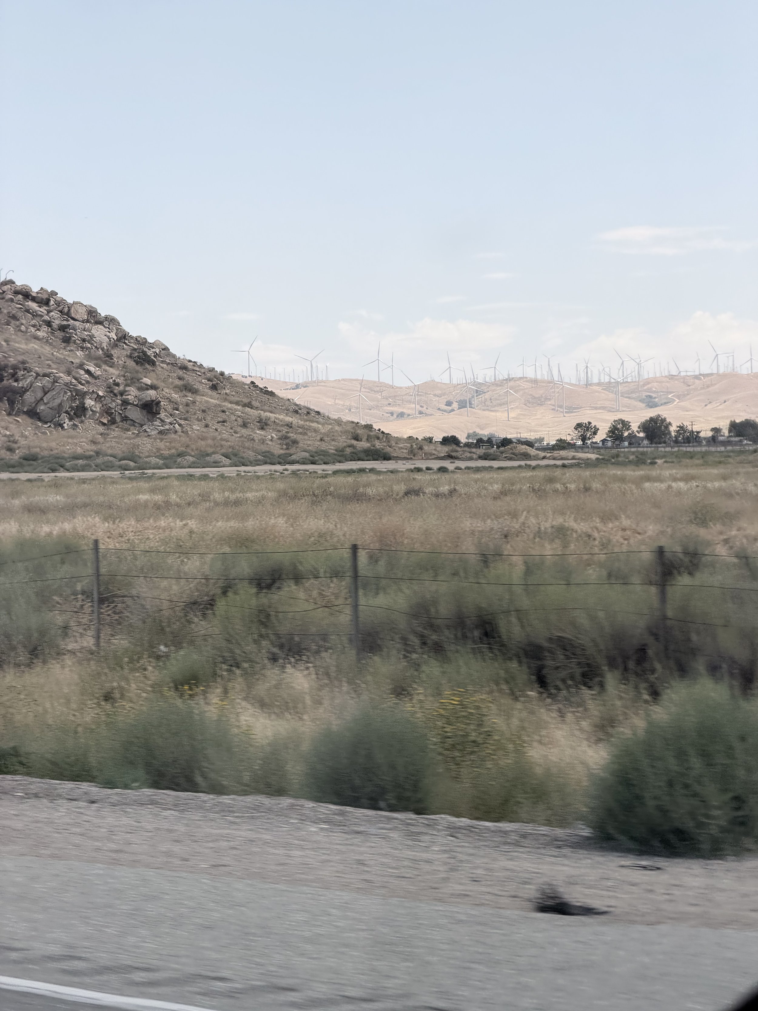 IMG_0713.jpeg