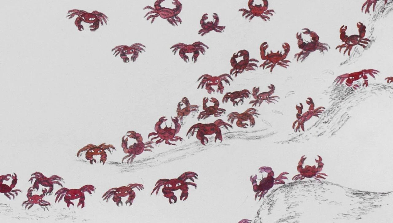 49e1dc5bdd41ea70-crabdetail.jpg