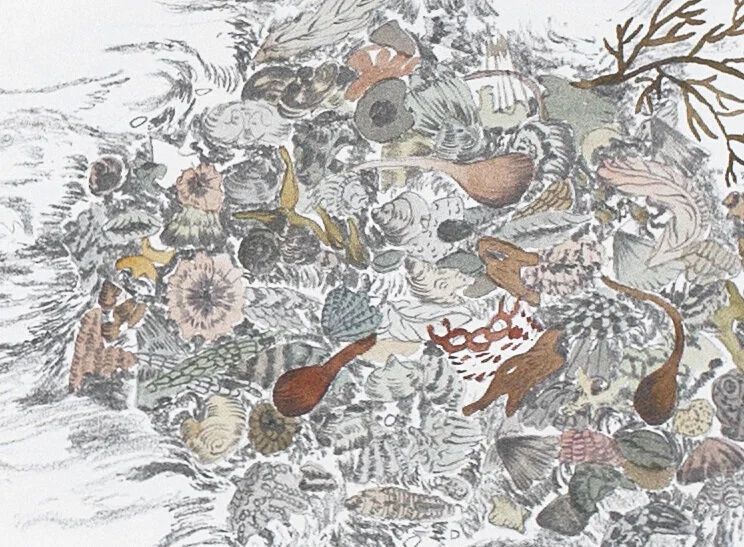 fe35c97442c1d557-siftingdetail.jpg