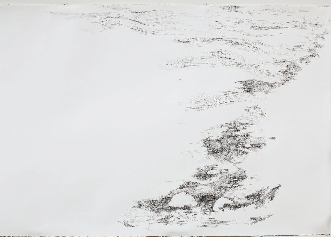 Untitled(1997)(detail), graphite & watercolor, 4' by 18', 2012