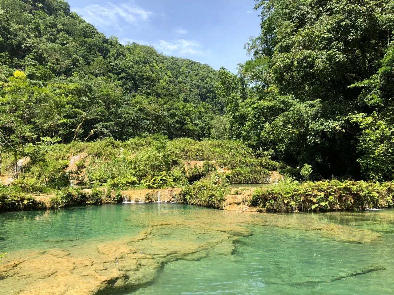 Clear turquoise river of Semuc Champey, Guatemala flowing through lush green forested area with small waterfalls and rocky shoreline under a bright blue sky.