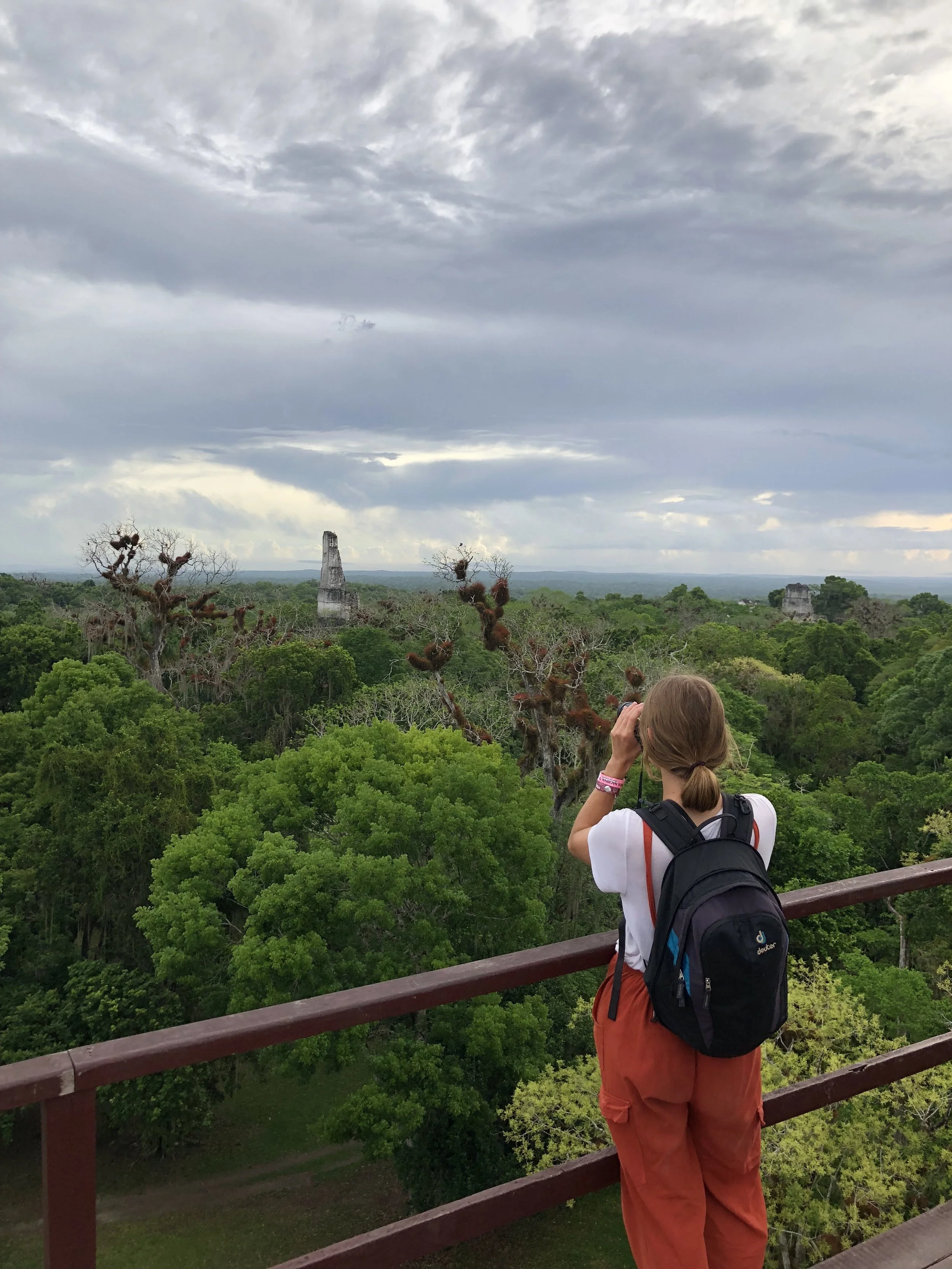 etnica-travel-tikal-bird-watching.JPG