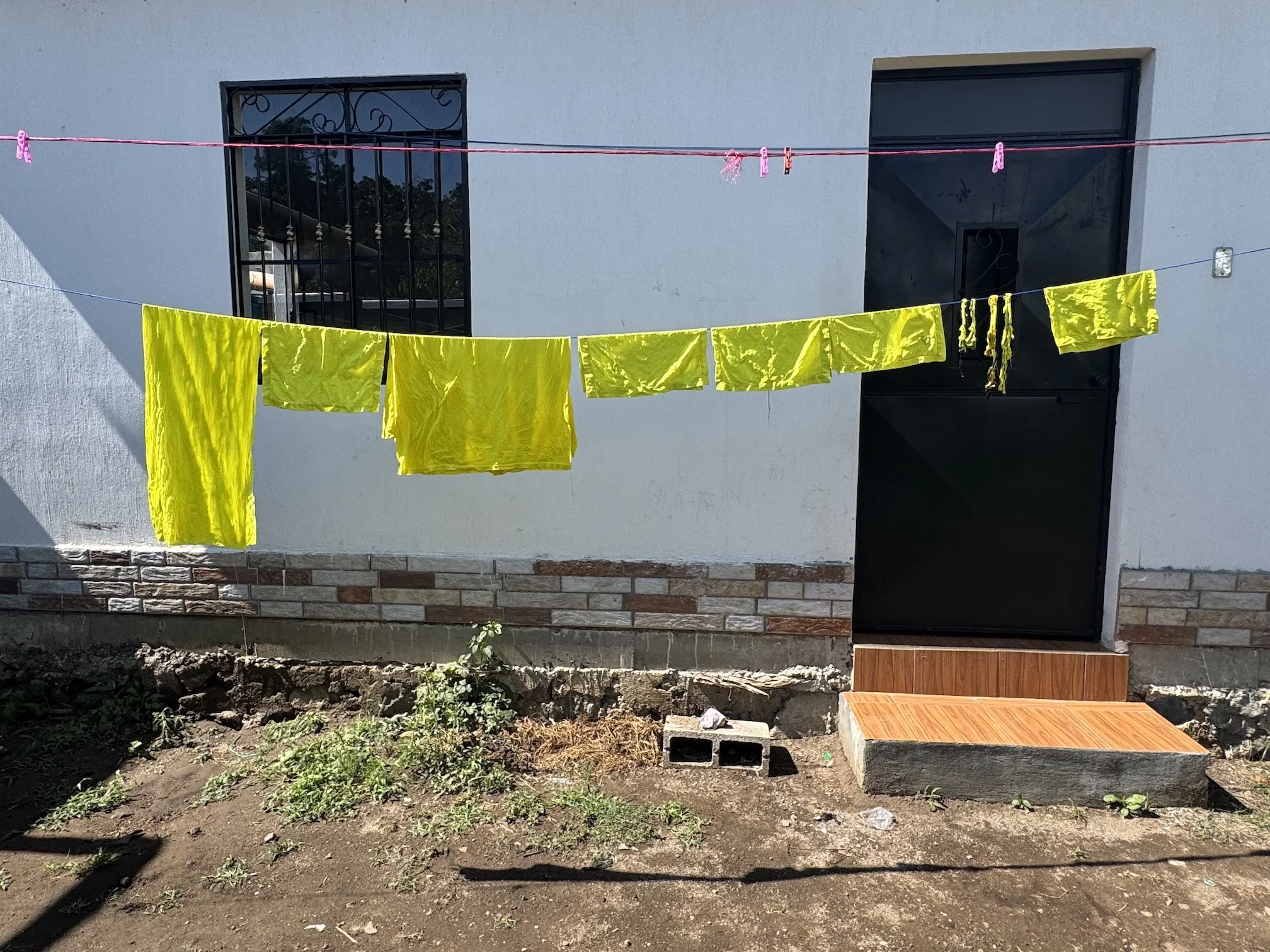 textiles teñidos con girasol mexicano