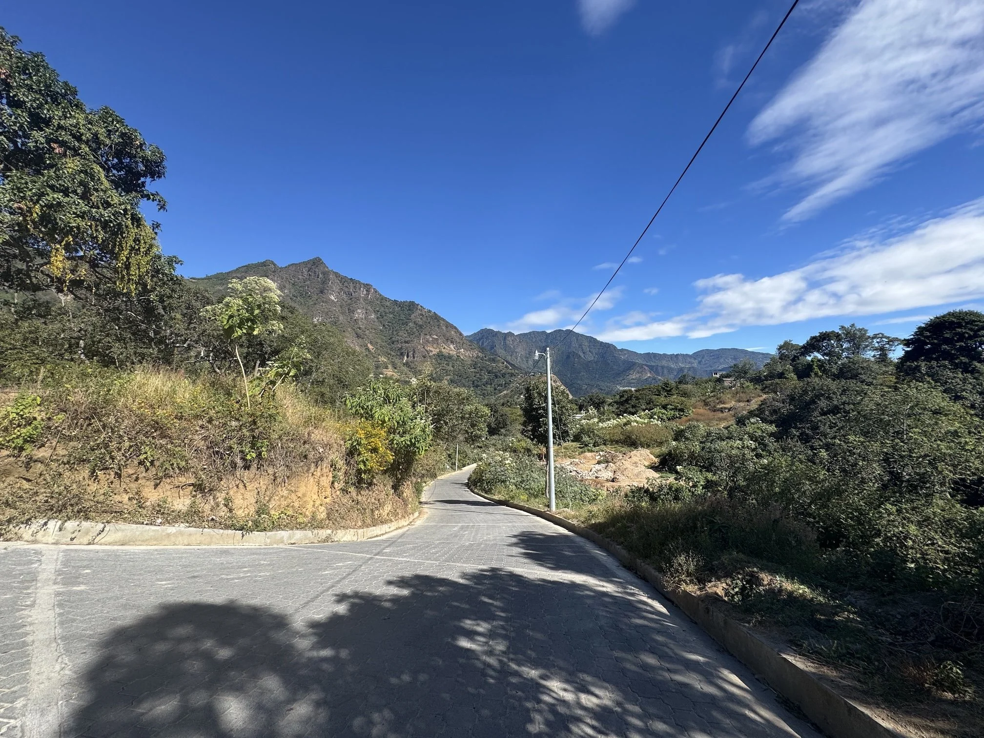 recolección de material tintóreo en San Juan La Laguna