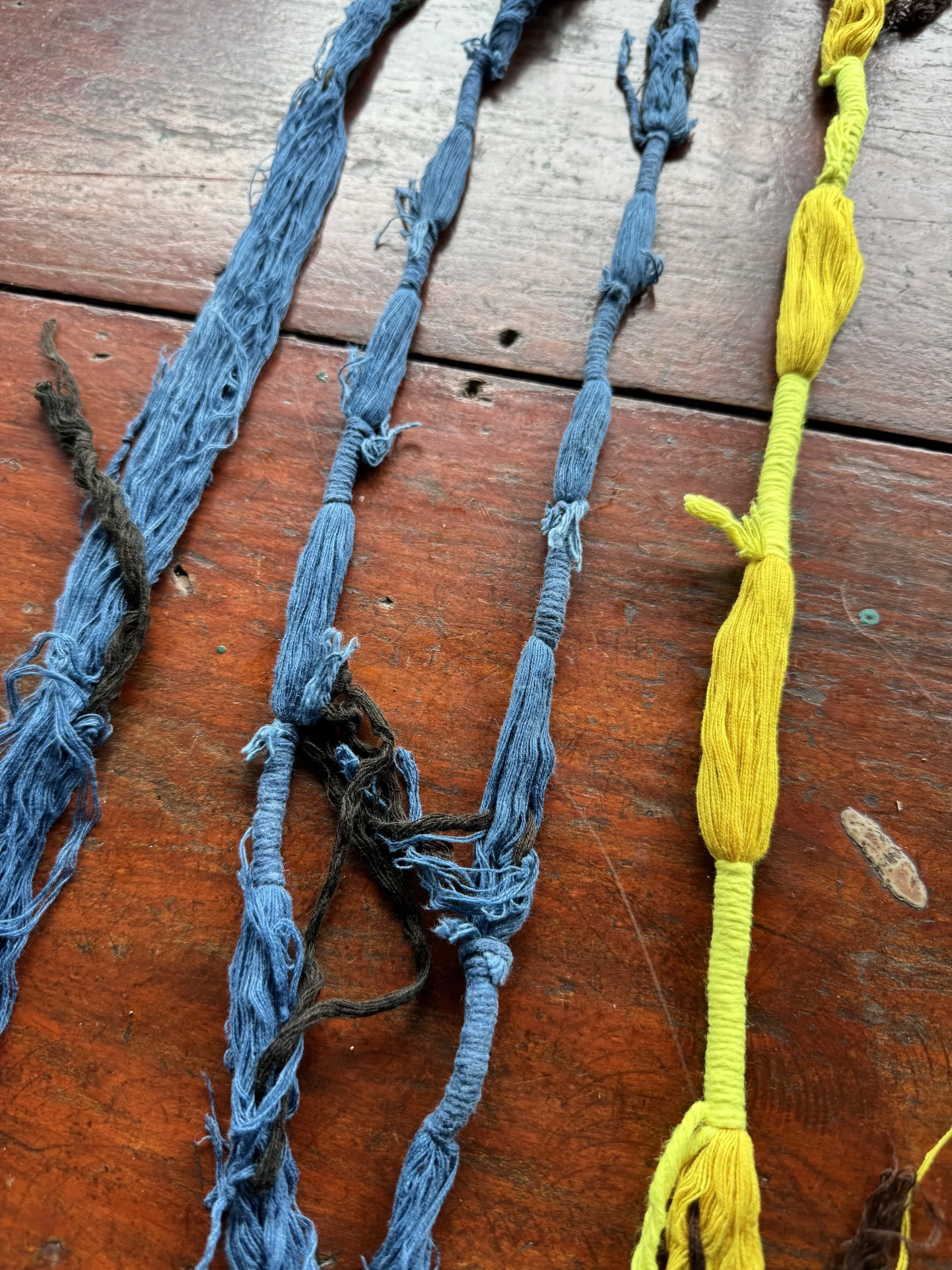 warp dyed with indigo and Mexican sunflower ready to be untied