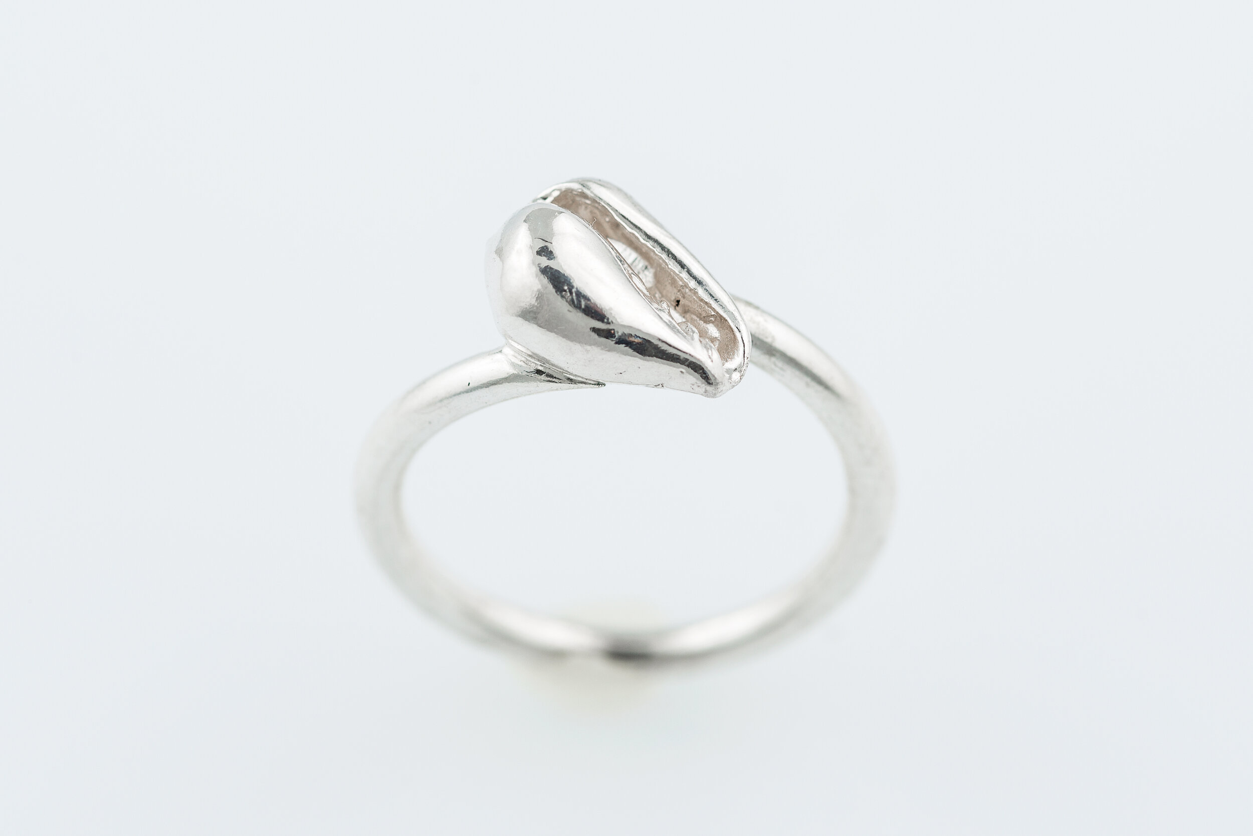 Marginella ring