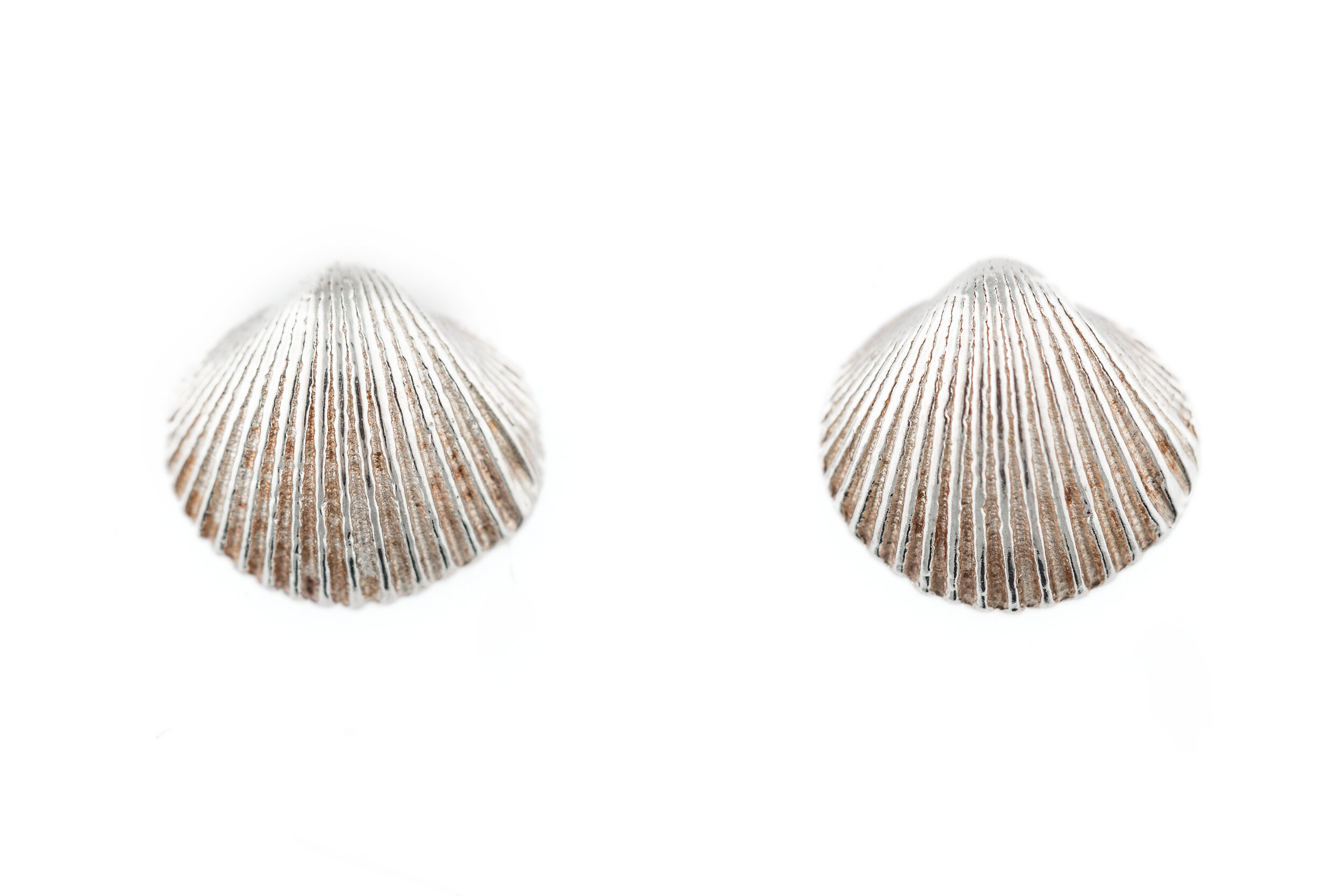 Clam TINY earrings