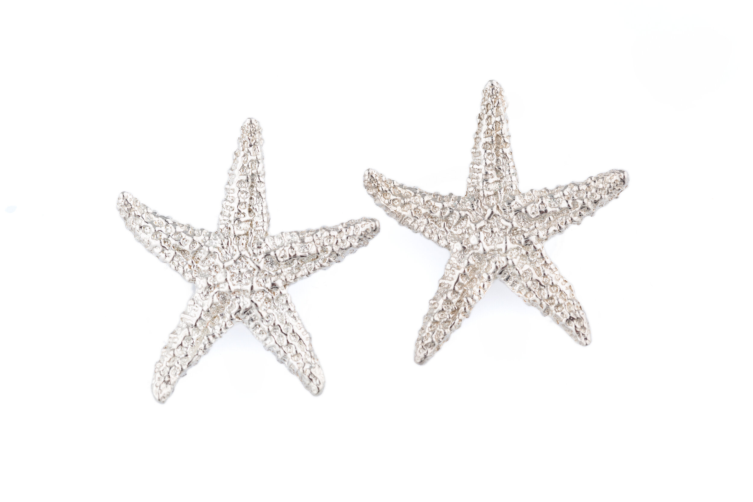 Starfish MD Earrings