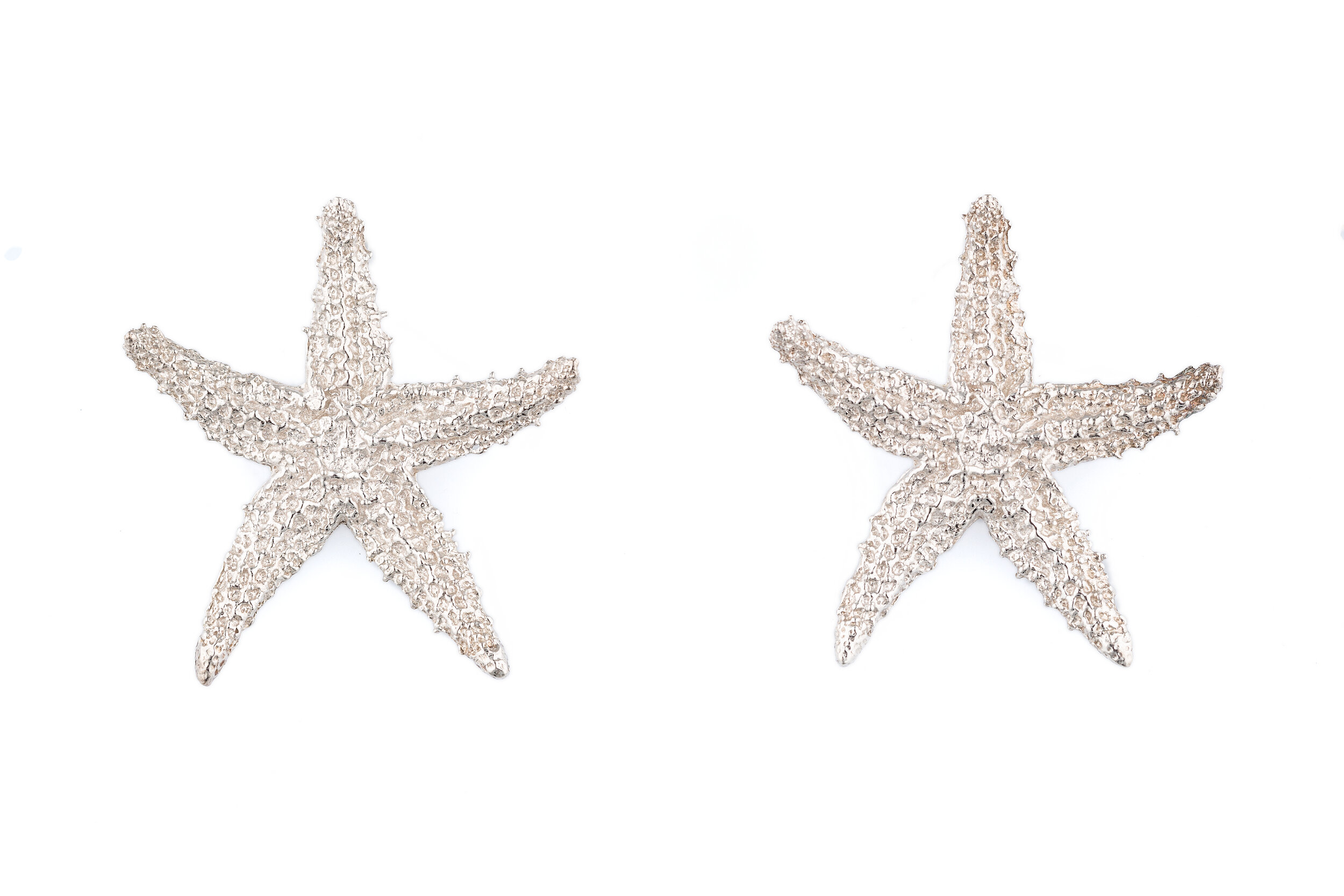 Starfish LG Earrings