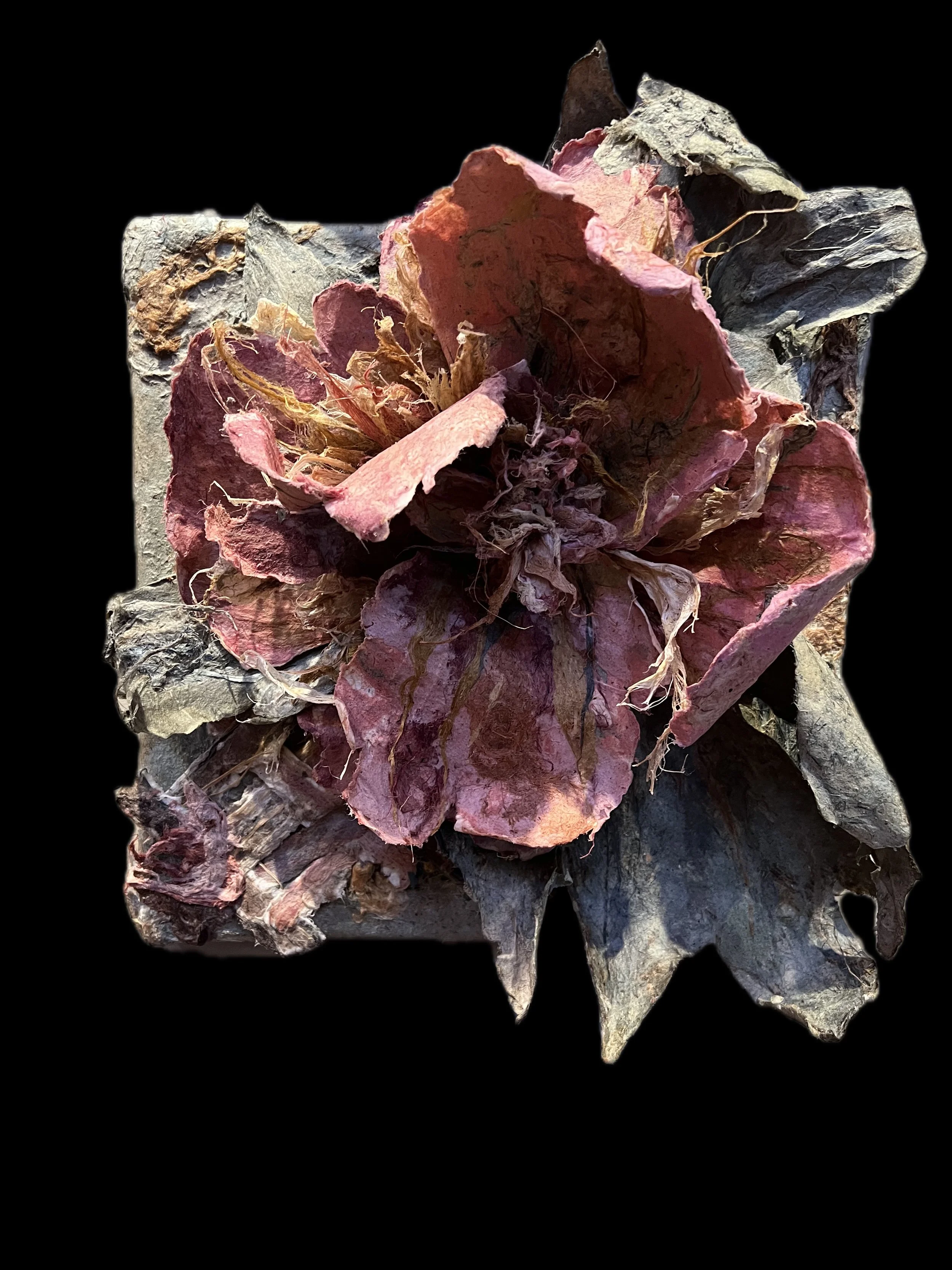 Peony I