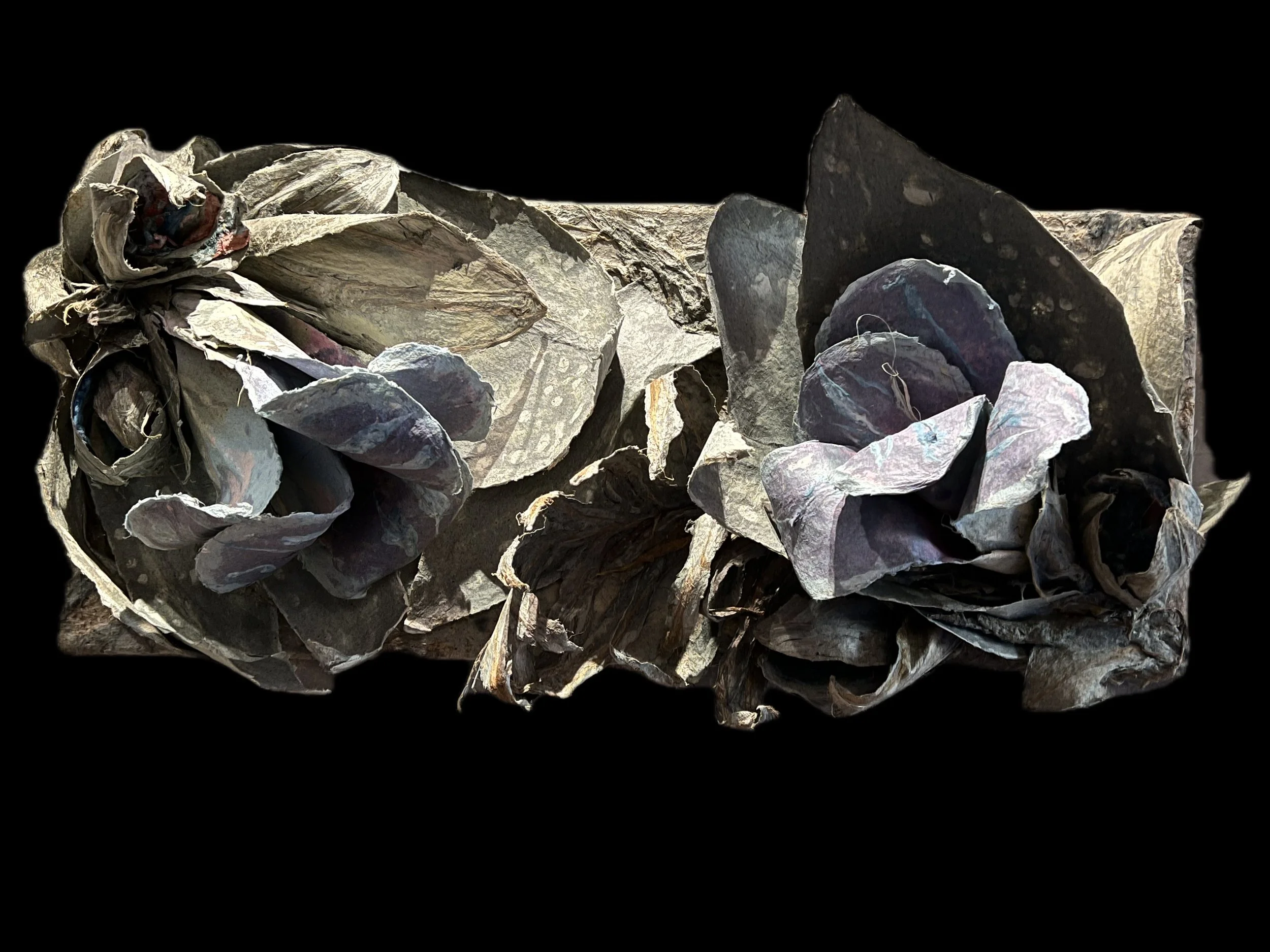 Pulmonaria I
