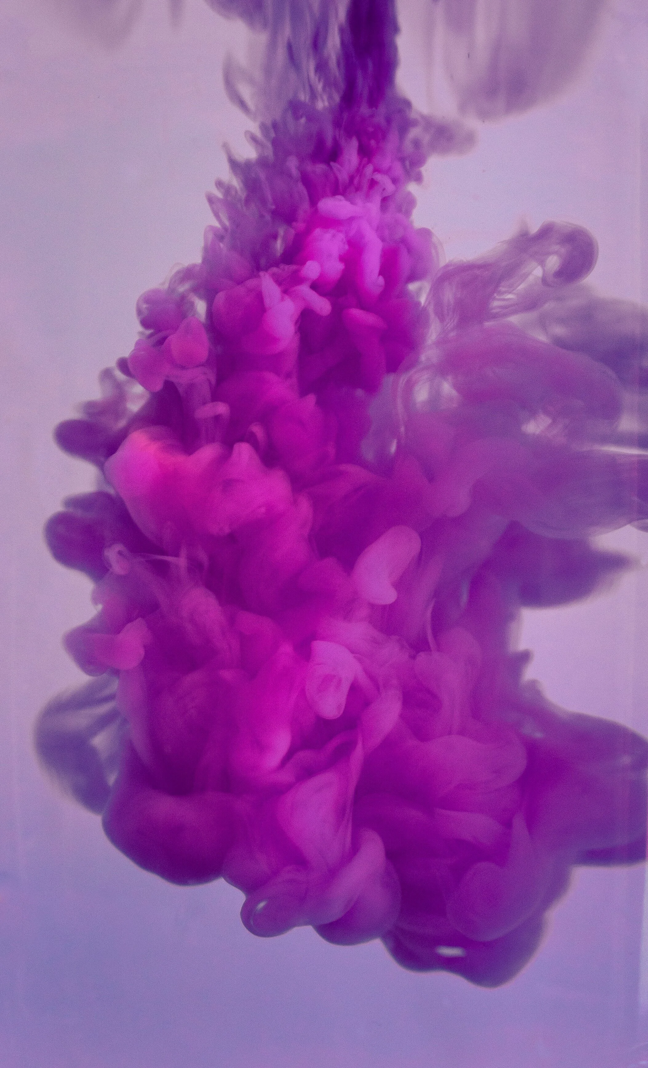 Difficult Emotions - Why do we need them?