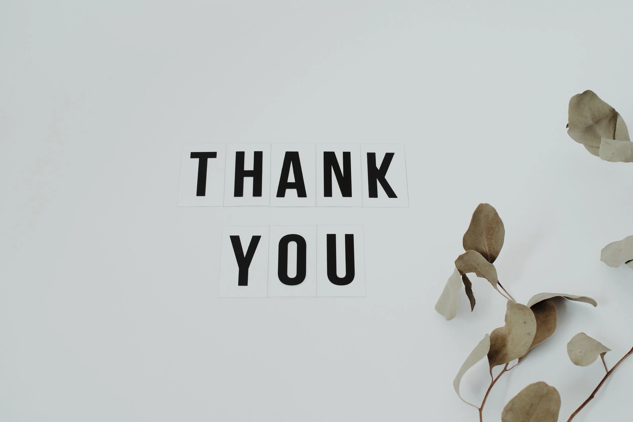 Gratitude – The Art of Showing Appreciation