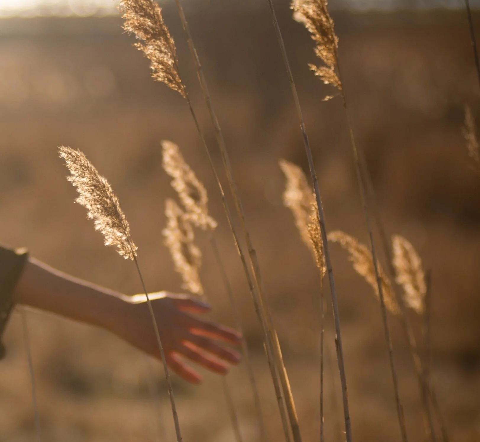 The Value of Curiosity - How to Cultivate It! — Being Human
