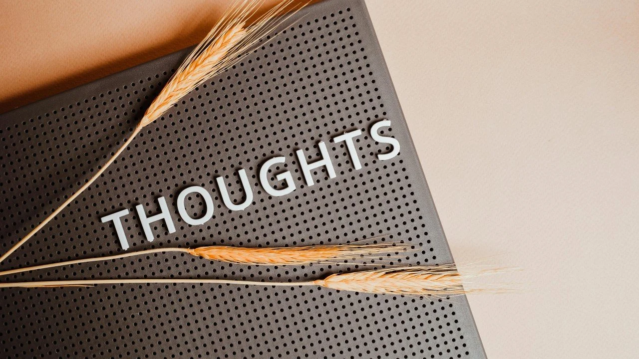 Metacognition: thinking about thinking