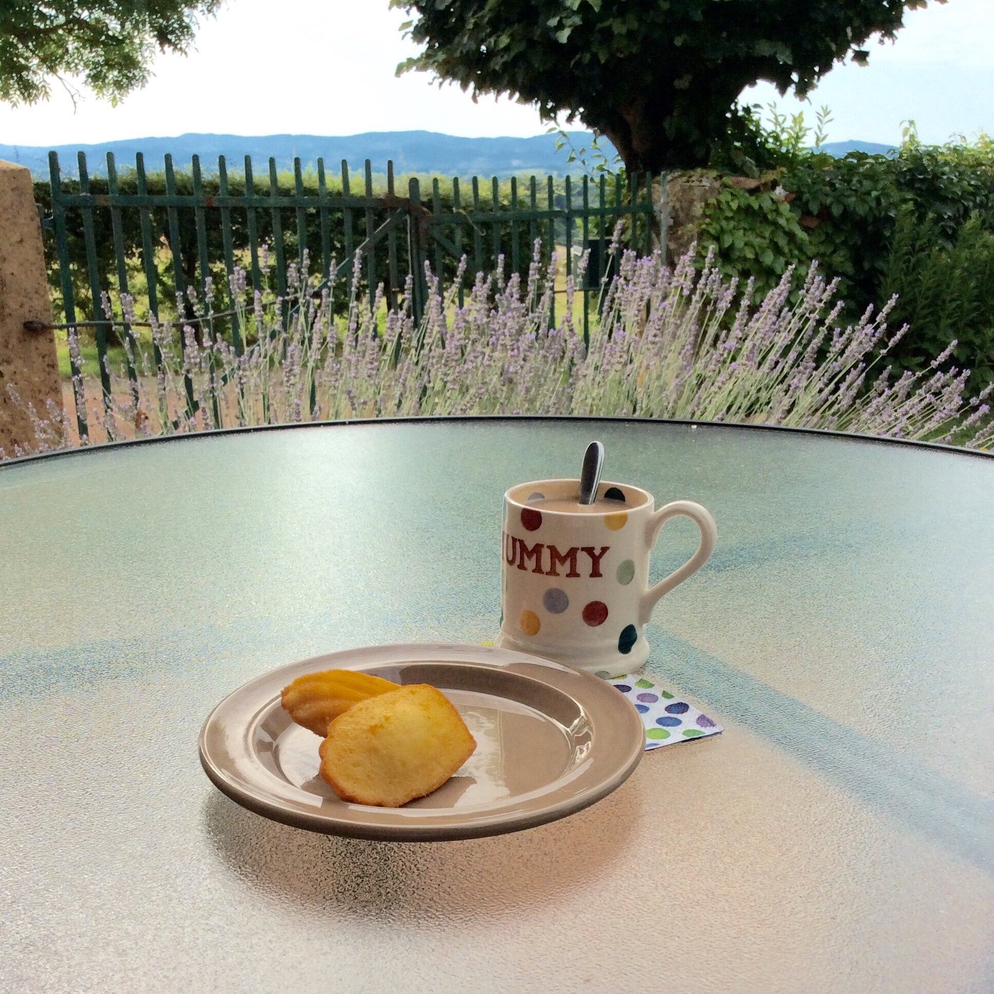 Madeleines