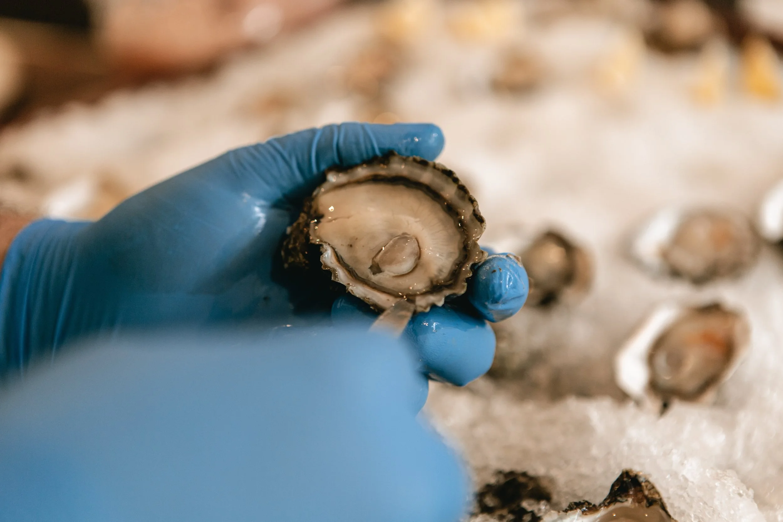 Food Pop-up: The Little Pearl Oyster Bar by Salish Sea Greens at the Winery