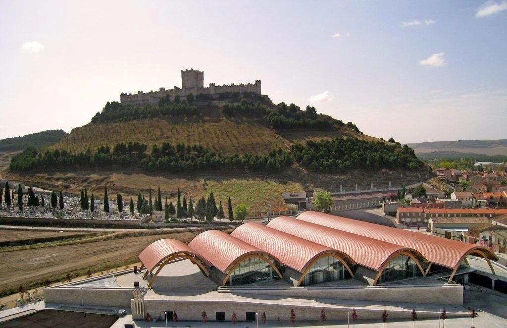 Travel to Spain with Eleven Winery: From Castile to La Rioja, a journey through the heart of Spanish wine