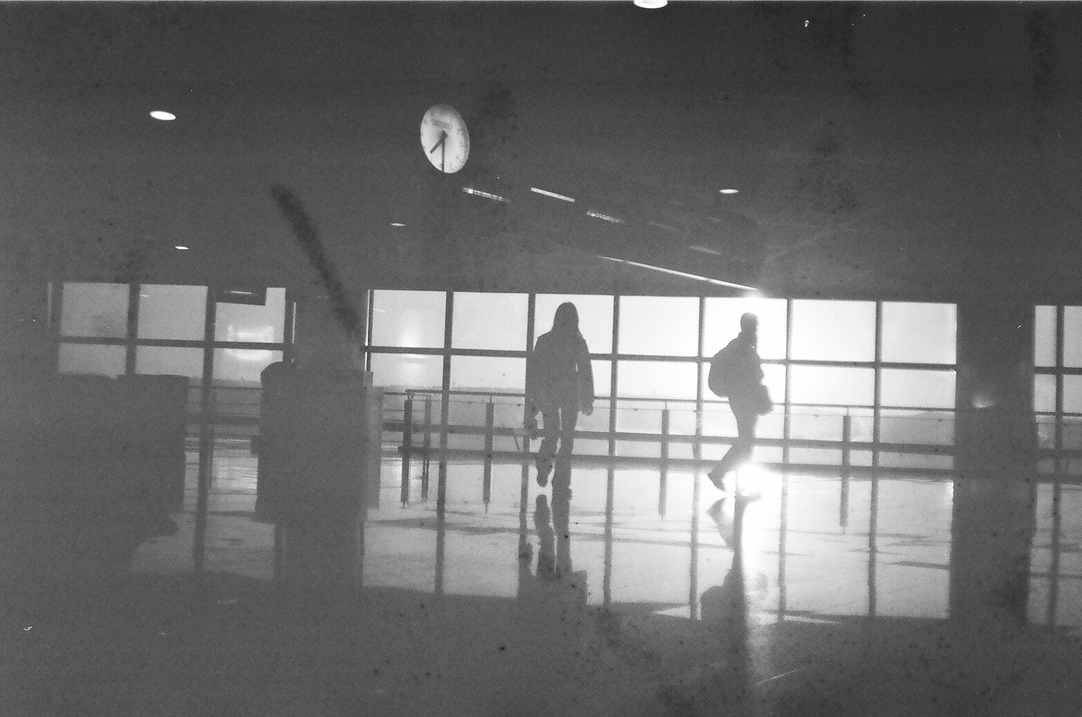54890036.JPG