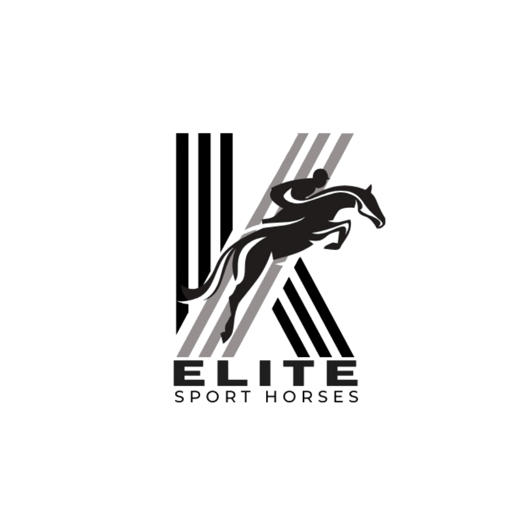  Elite Sport Horses