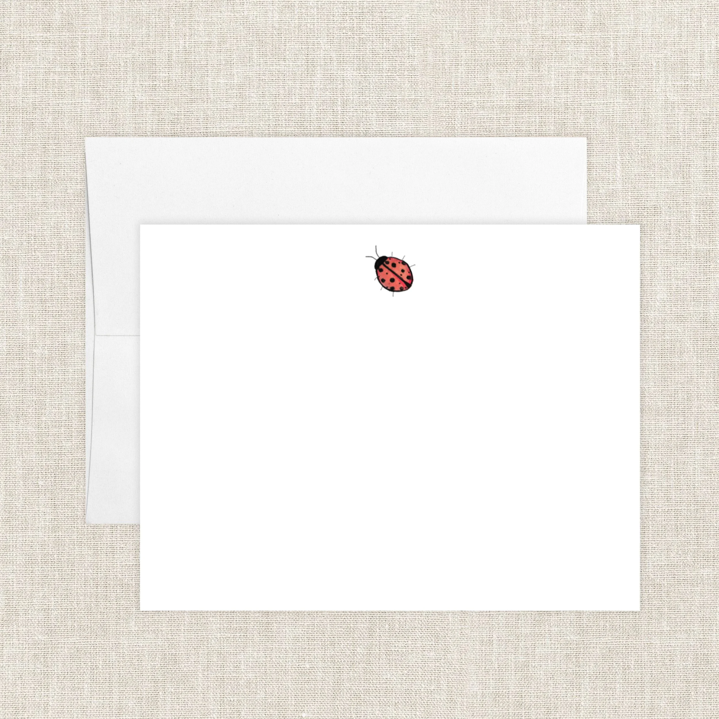 ladybug.jpg