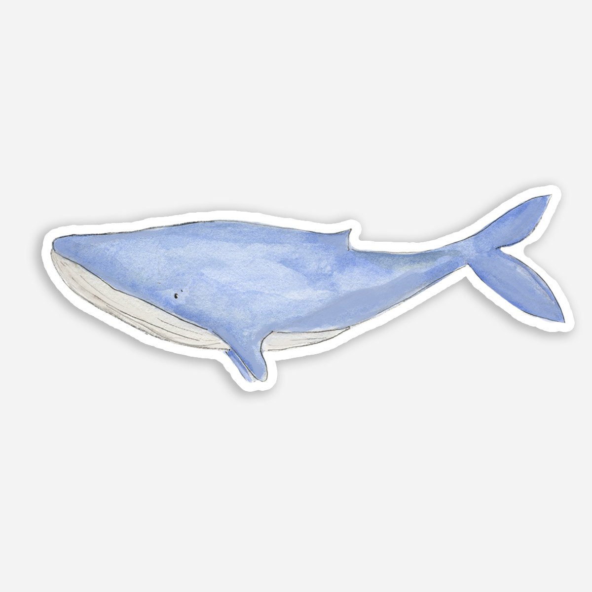 sticker - new whale copy.jpg
