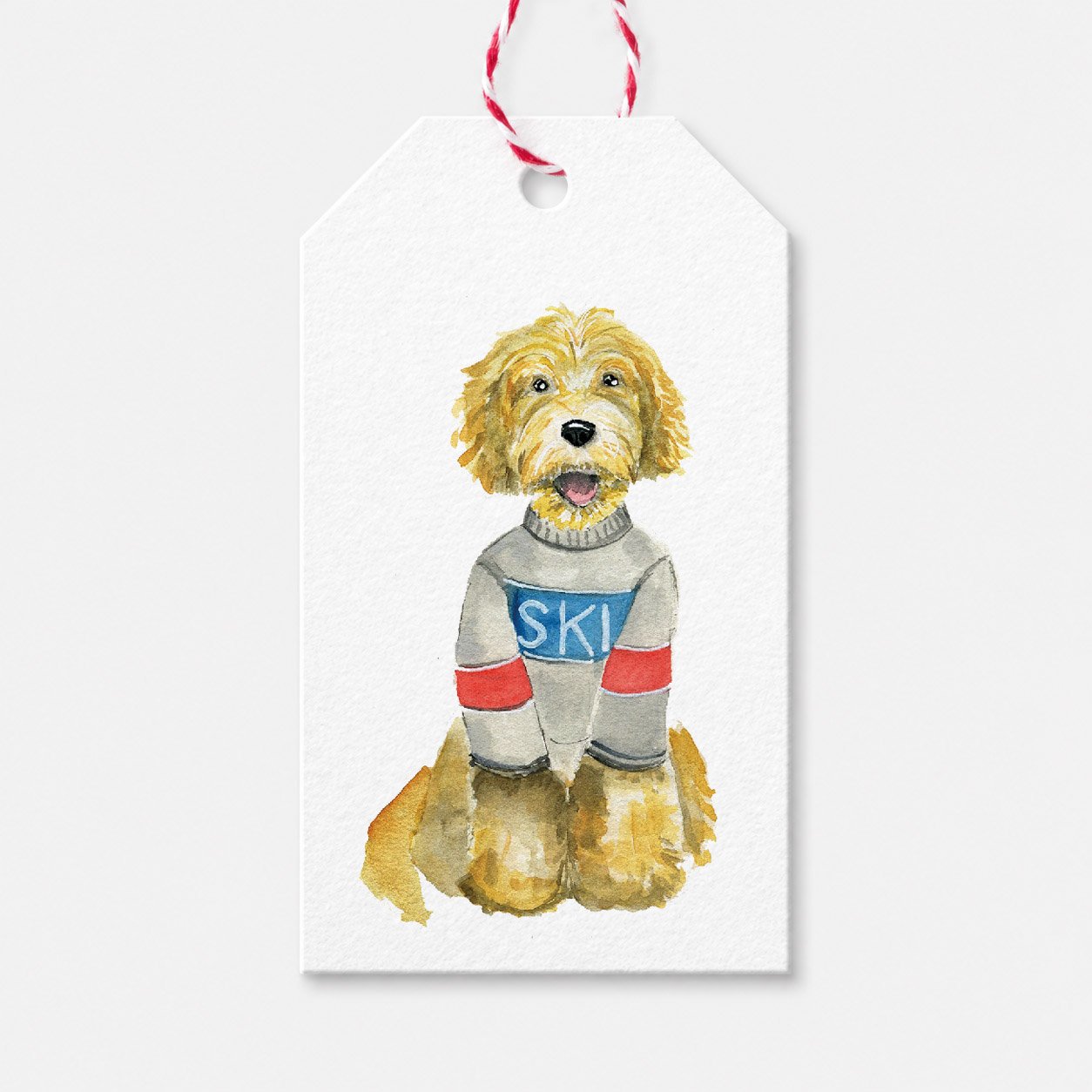 Ski dog mockup.jpg