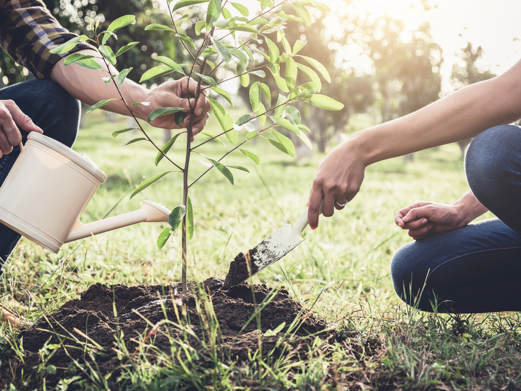 CELEBRATING EARTH DAY