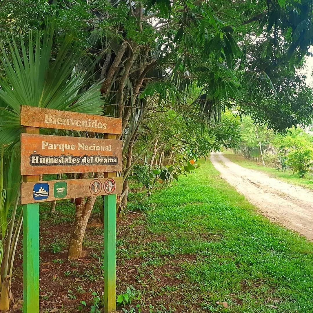 OUR REFORESTATION DAY - OR HOW TO MAKE A POSITIVE IMPACT ON THE ENVIRONMENT 