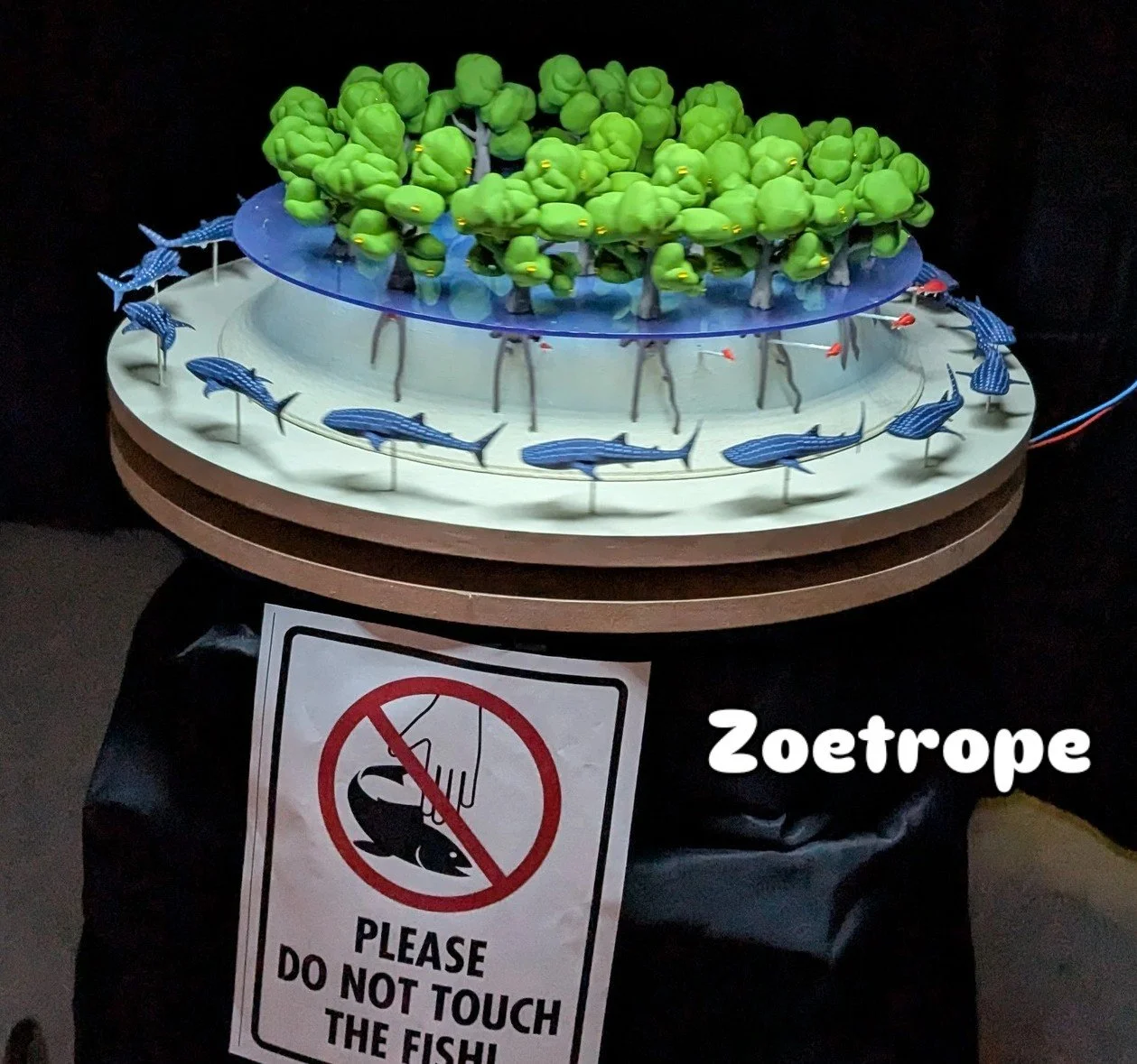 Whale Shark Zoetrope