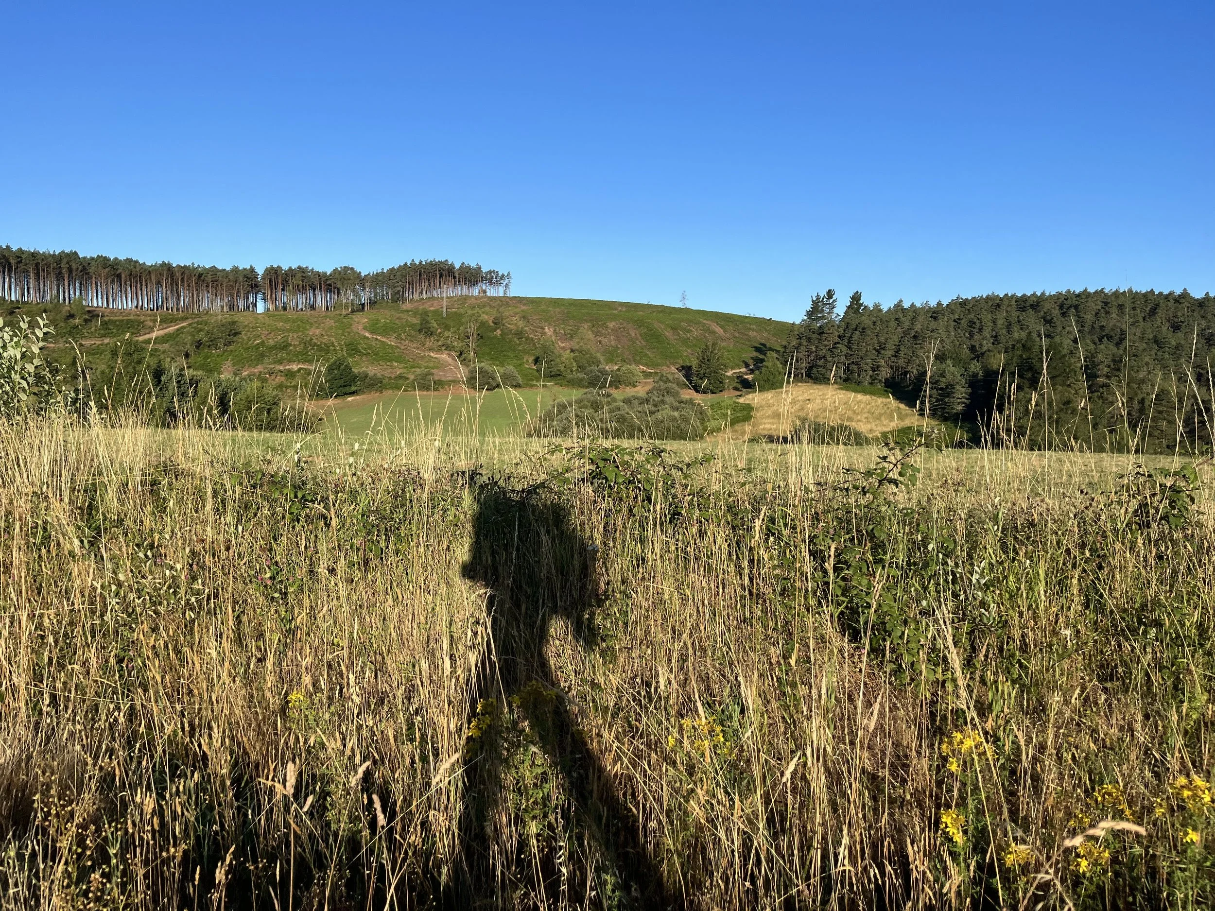 QCF community member, Jeff, walking through one of the Camino de Santiago trails