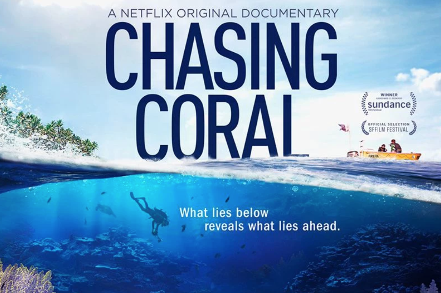 Chasing Coral A Netflix Original Documentary