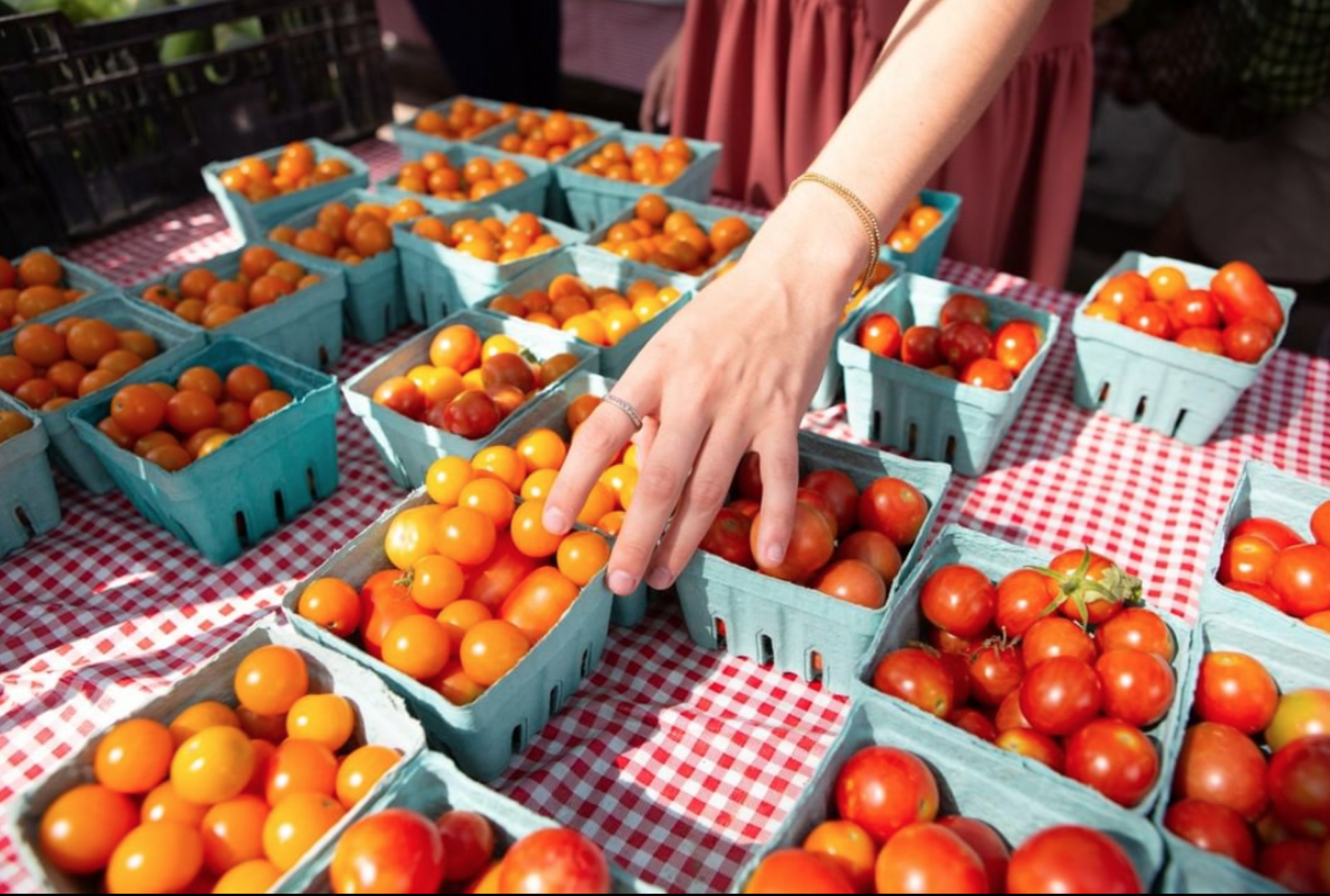 Source: @trashisfortossers