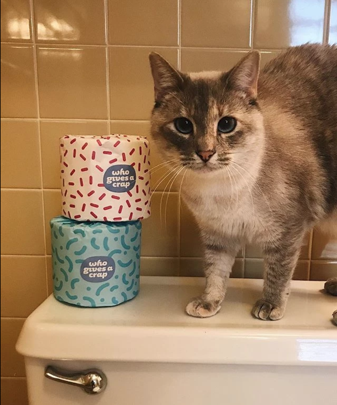 Screen Shot 2563-07-13 at 12.32.41.png